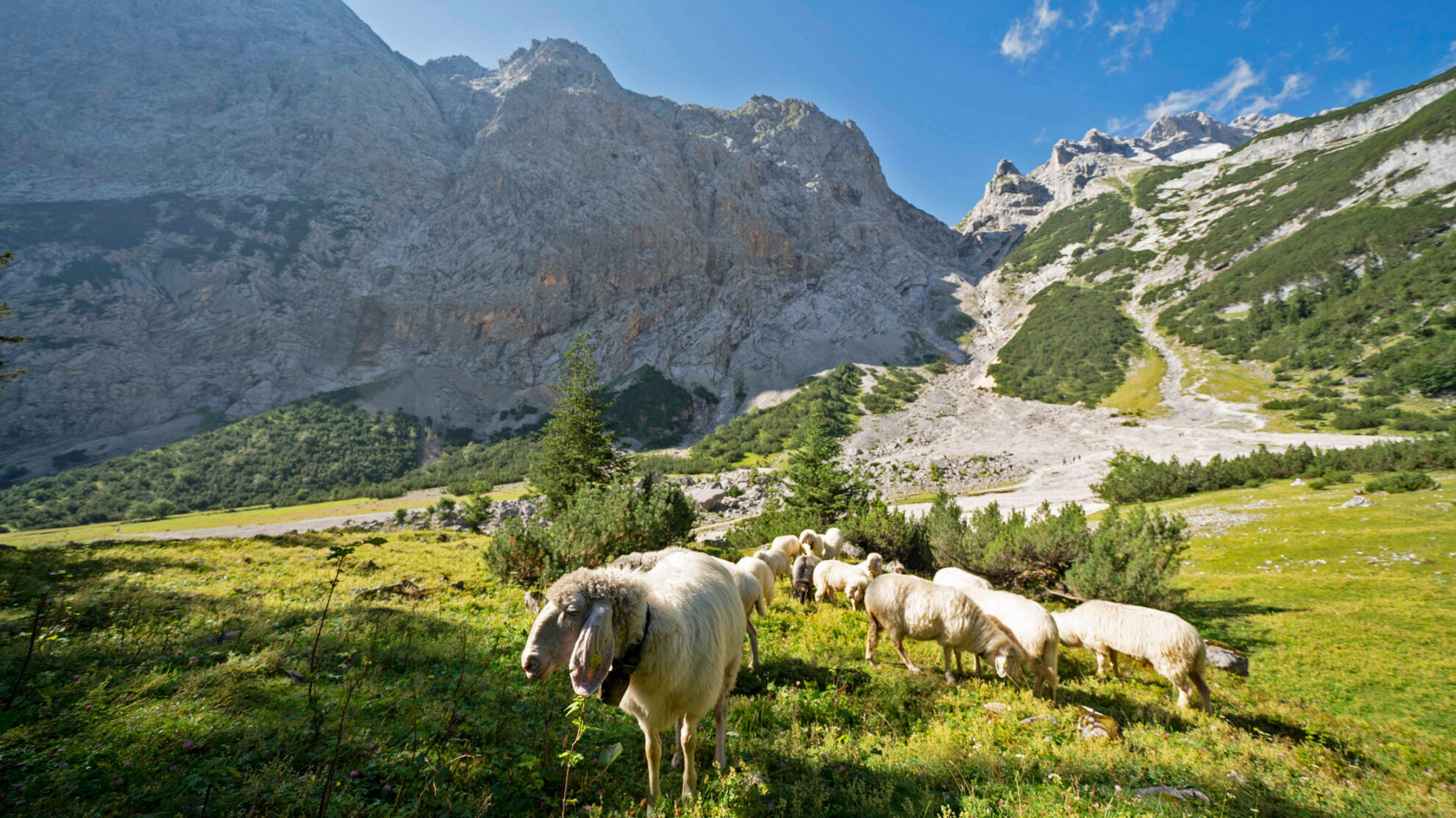 Berg und Tal Zugspitz Region