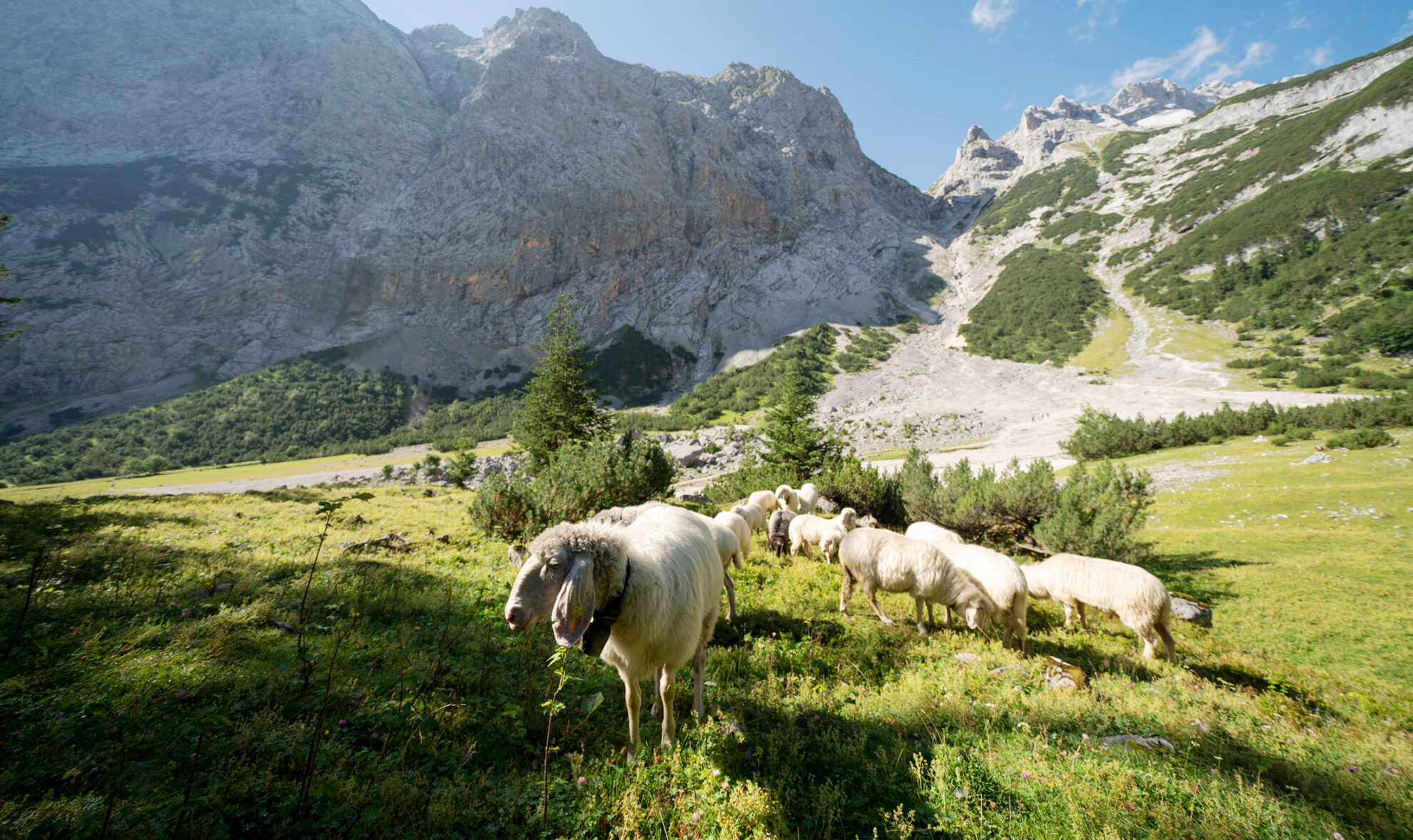 Fibel Zugspitz Region