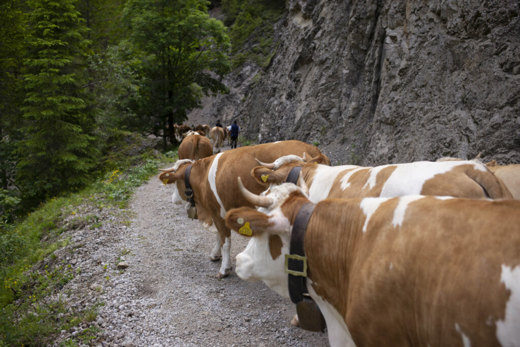 Berg und Tal 1