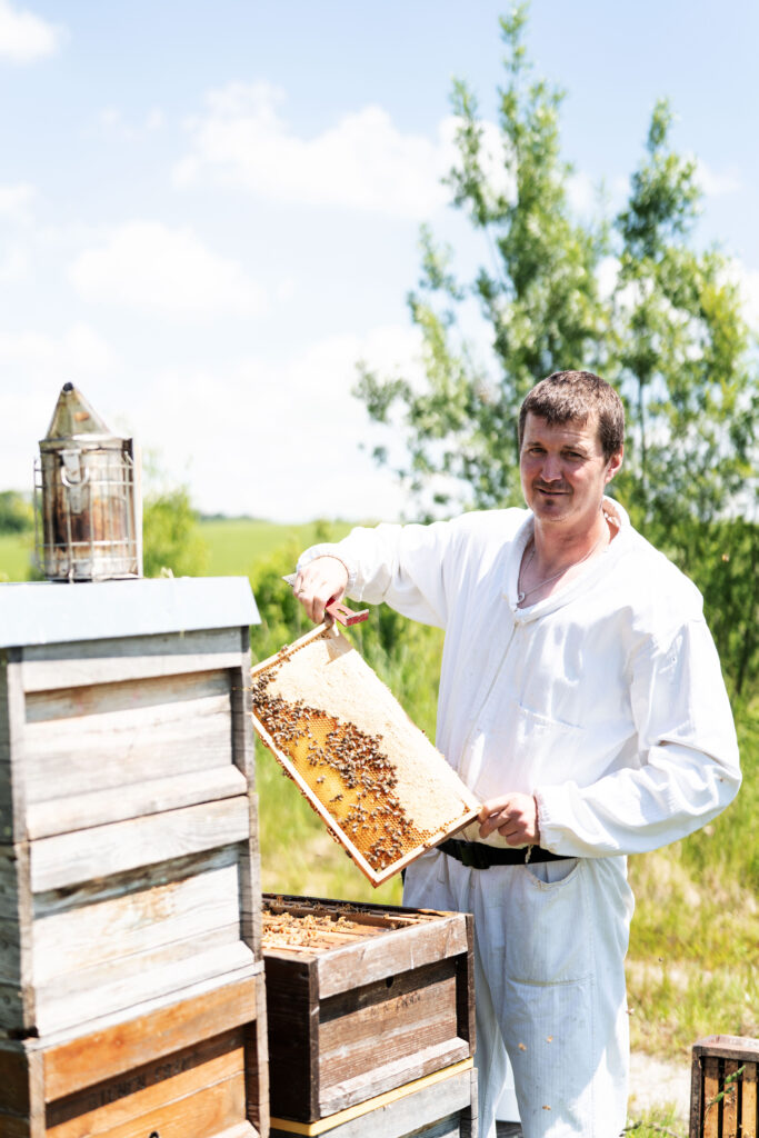 MF 2020 0603 ZugspitzRegion Bienen Franz 0046