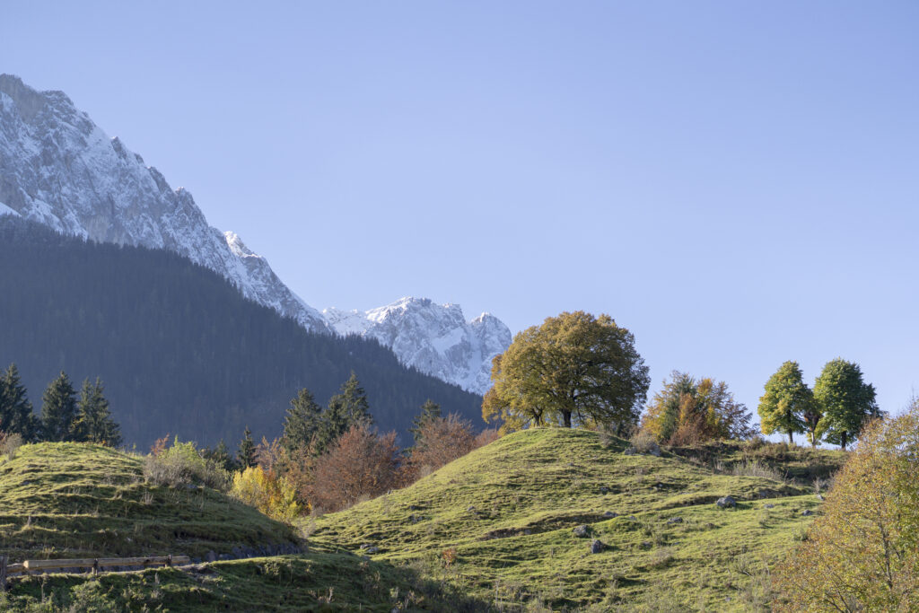 MF 2020 1019 Zugspitz Region 0141