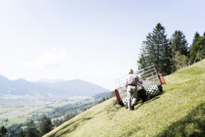 Landwirtschaft alpin geblickt